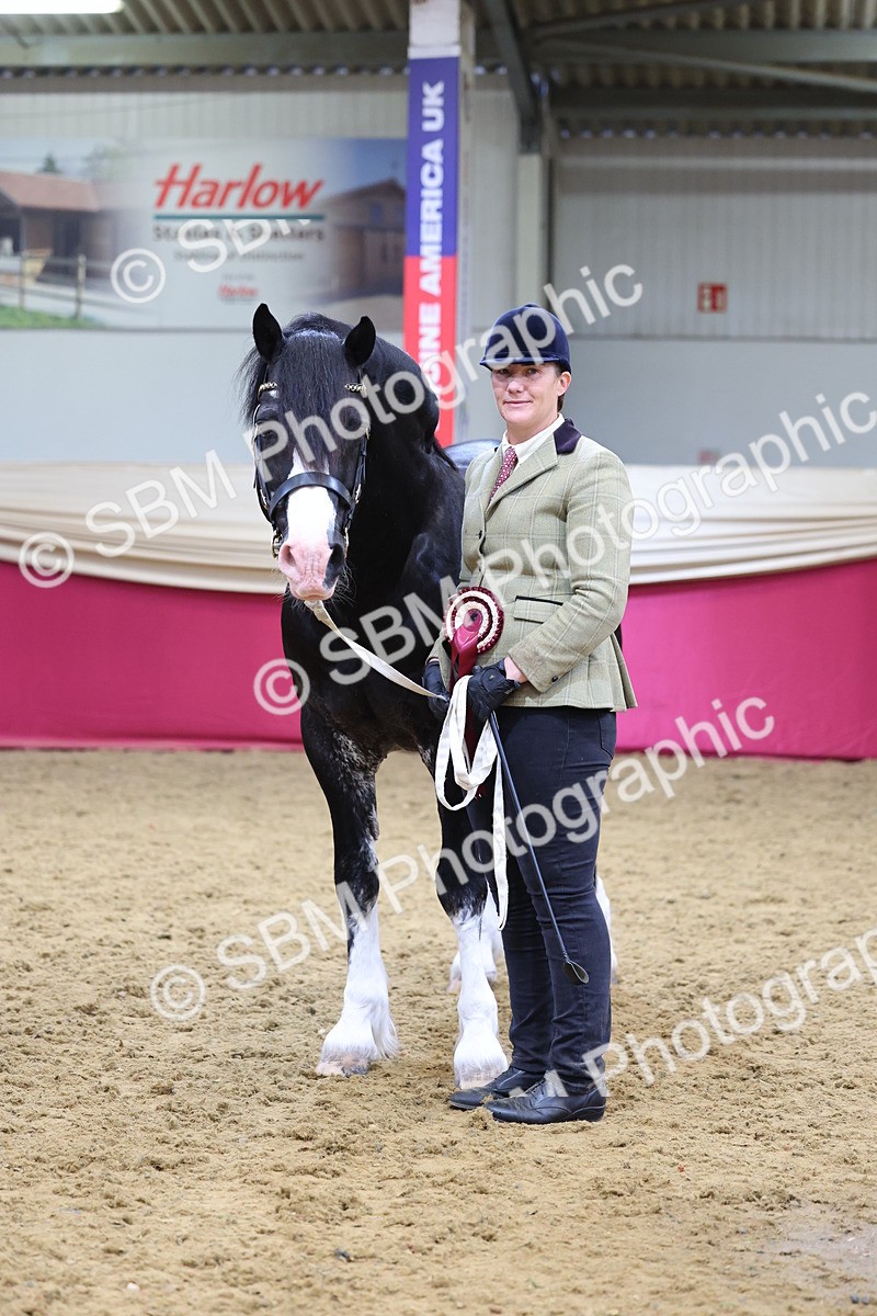 SBM_21121 - Class 902 - Supreme Final IH Veteran