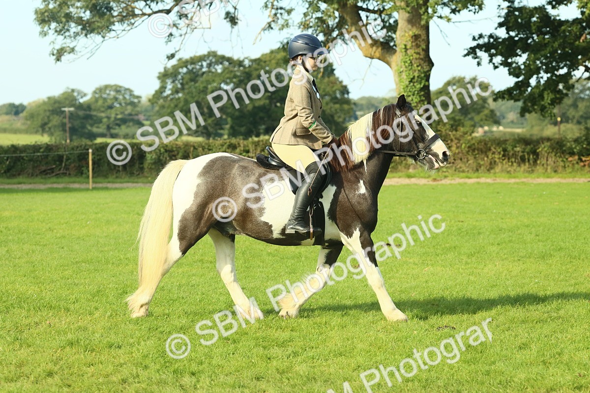 SBM_59821 - S38 - Starters Ridden Showing