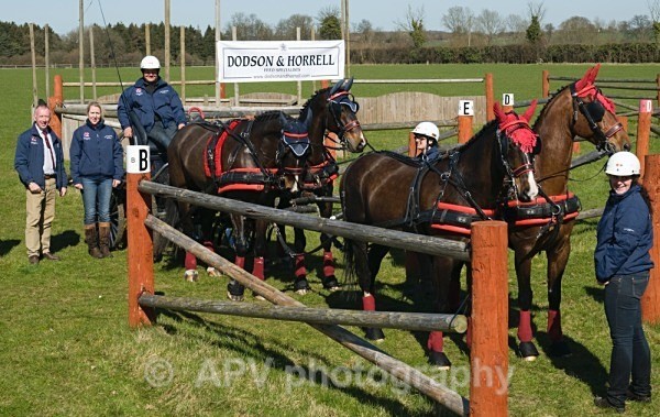 _DSC9023sml - Ashfields Carriage & Polo Club
