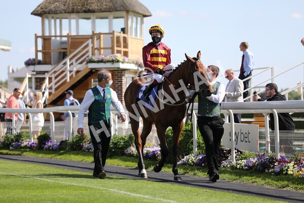 yr12062021r5-9 - Race 5 4.15pm Reg Griffin Appreciation EBFstallions.com Maiden Stakes