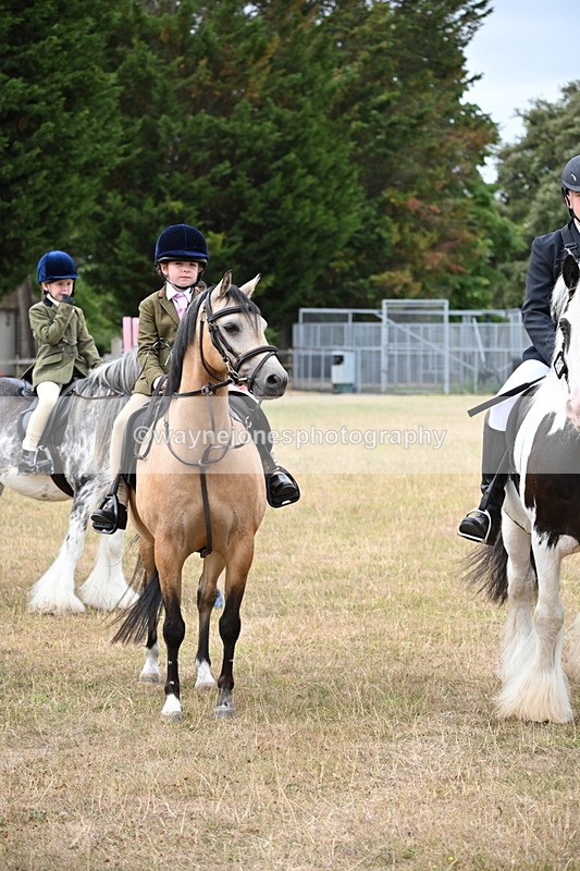 WJ6_7687 - Class 9 Tack and Turnout