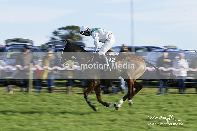 PtP 300122 178 - South Dorset Hunt - Point-to-Point Races 30/01/2022