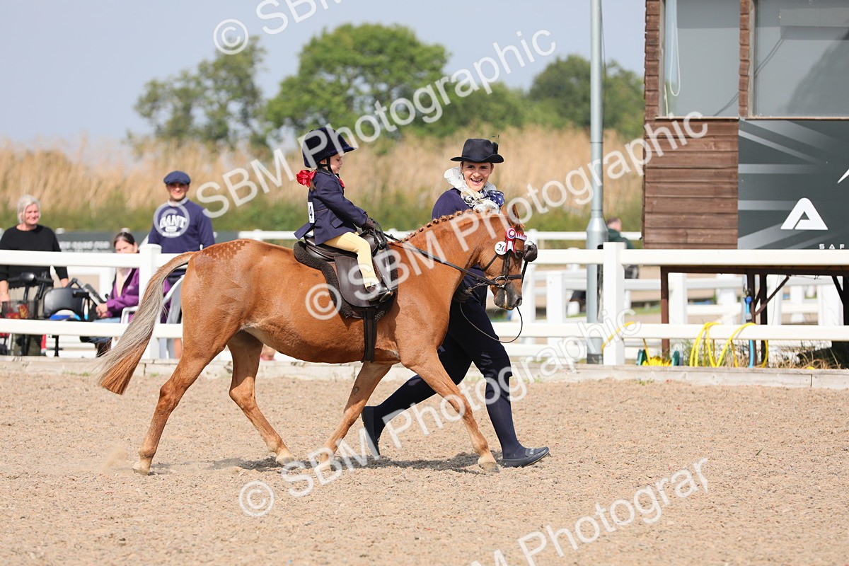 SBM_14002 - Class 309 Lead Rein Pony