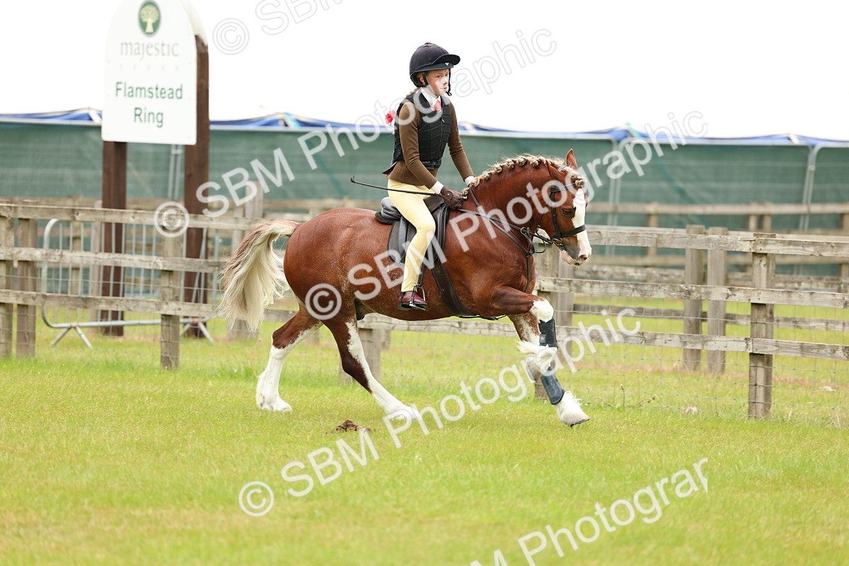 SBM_10362 - Class 44-45 - LIHS BSPS Open Nursery and Cradle Stakes