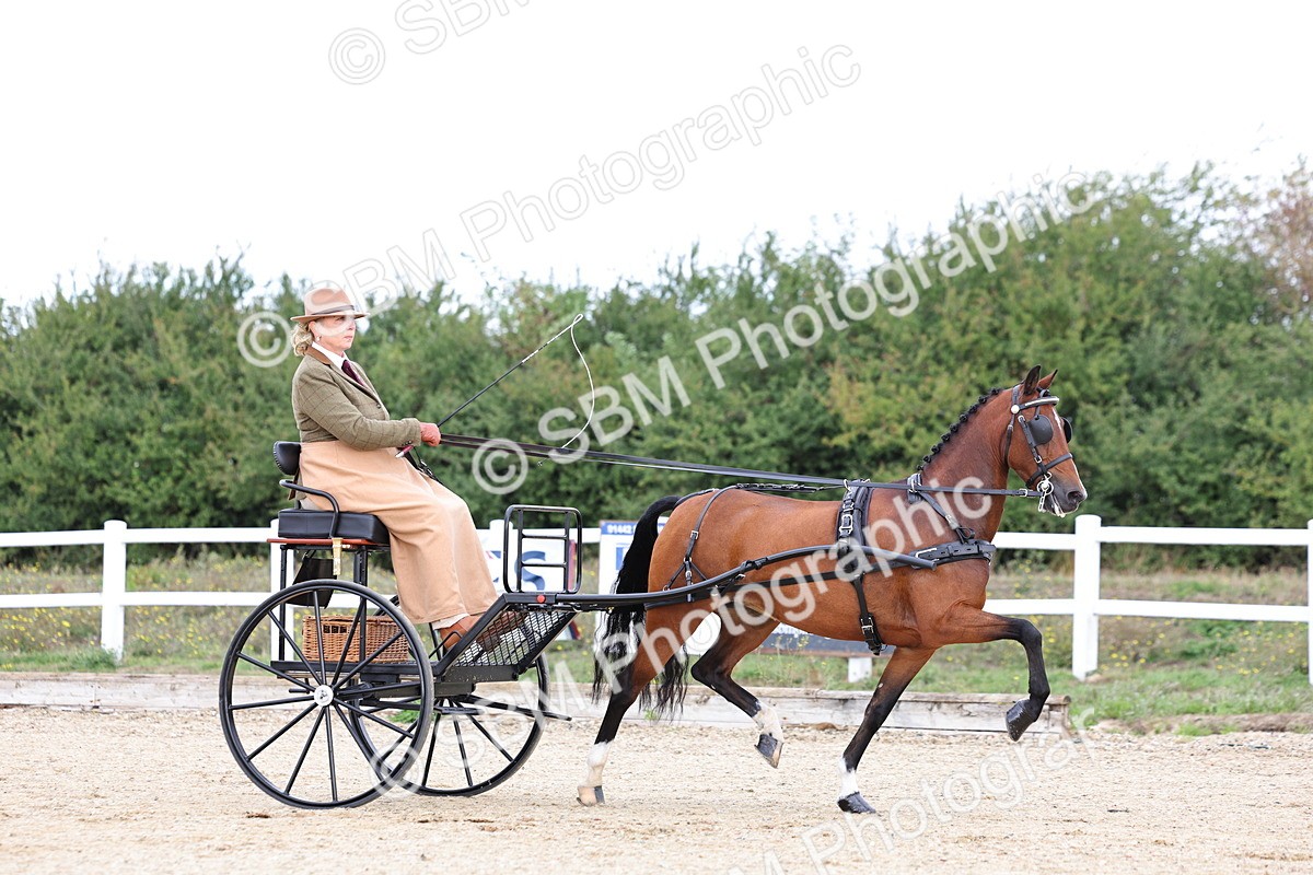 SBM_000271 - Class 2 - Exercise Vehicle 13.2hh & Under