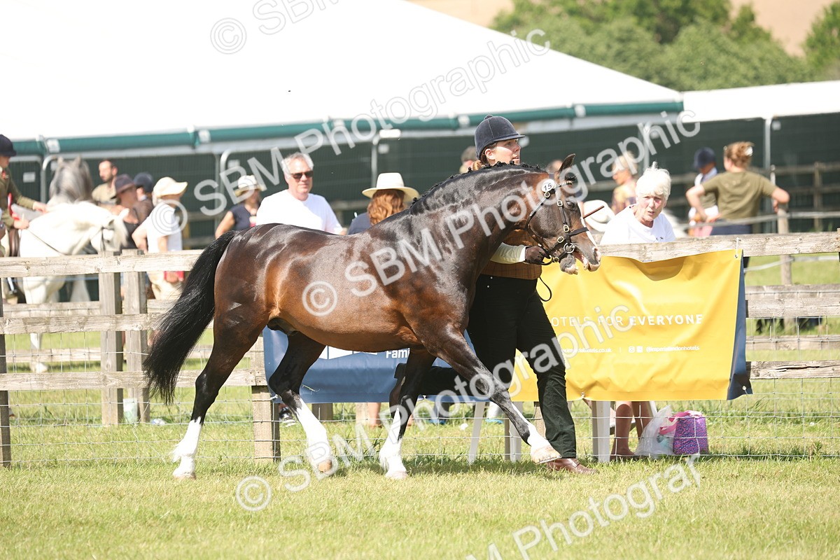 SBM_09073