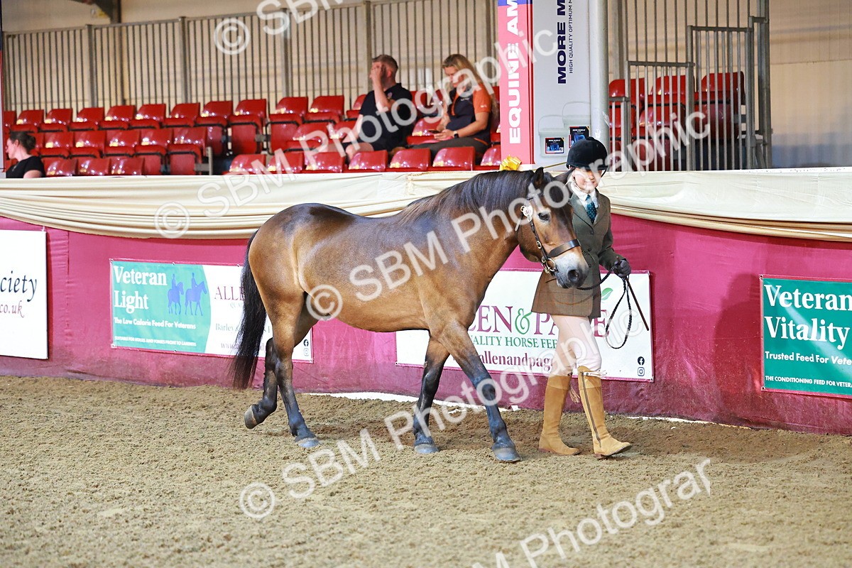 SBM_14674 - Class C - Novelty champ