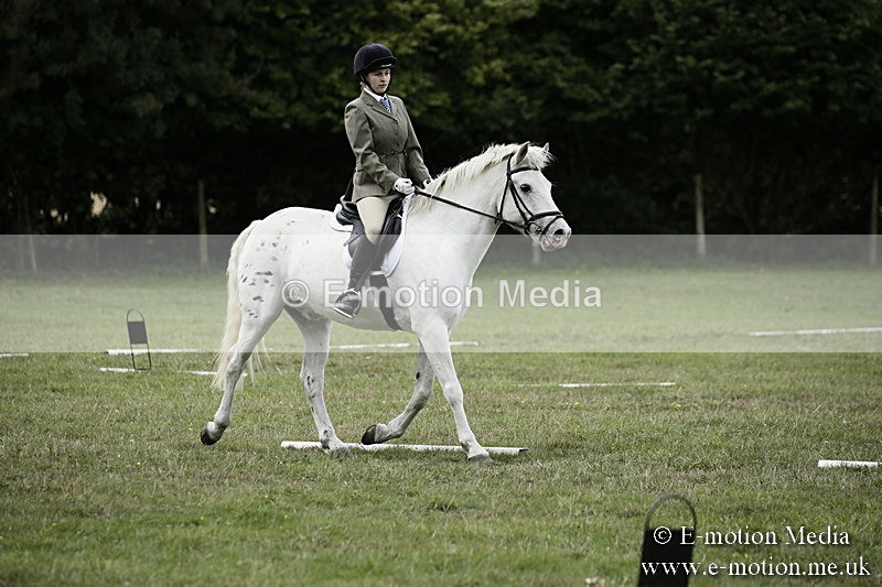 BVR080918 363 - BVRC Novice Dressage & CR 08/09/18