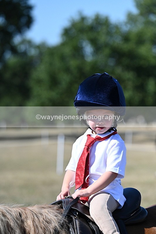 WJ7_1494 - Class 42 Most Handsome Gelding