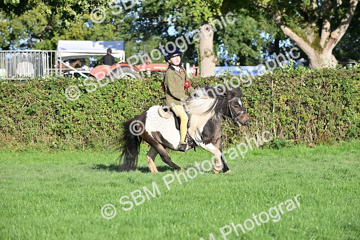 SBM_53058 - S23 - First Ridden Mountain & Moorland Pony