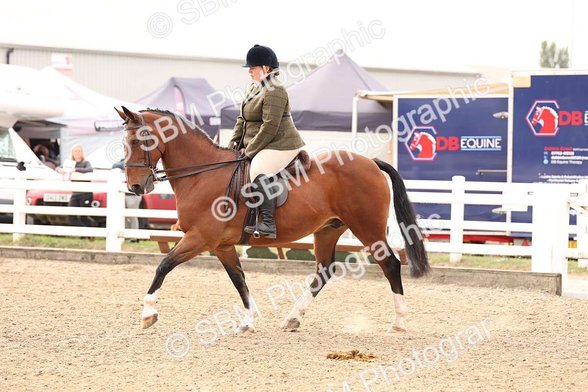 SBM_01603 - Class 52 - Ridden Veteran