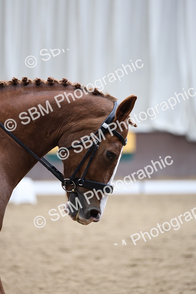 5K7A0241 - Novice 2