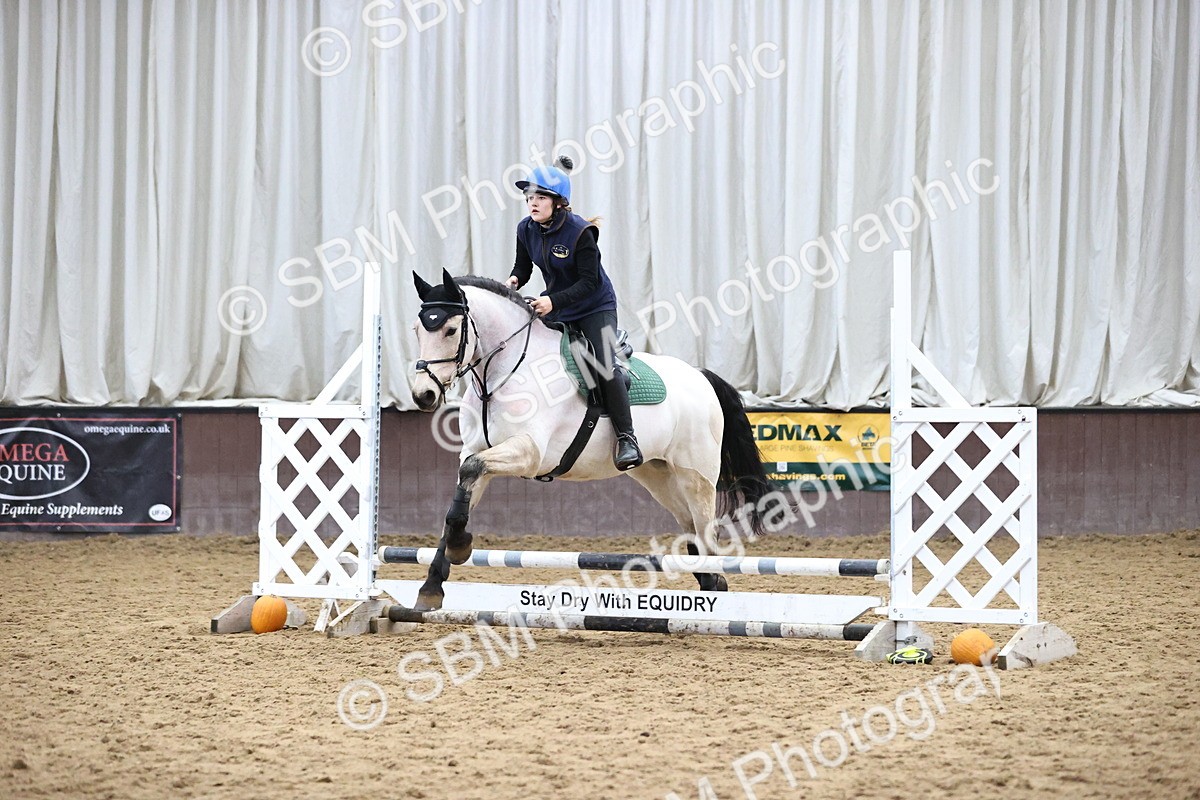 SBM_001206 - Class 3 - Horse & Hound 60cm