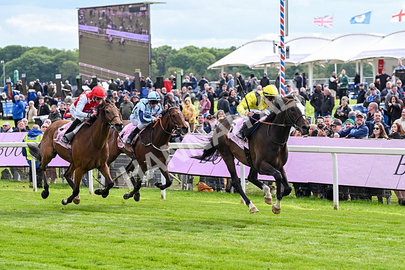 150526-Race 5-Rahiebb-8122 - Race 5 4.05pm Boodles Yorkshire Cup Stakes