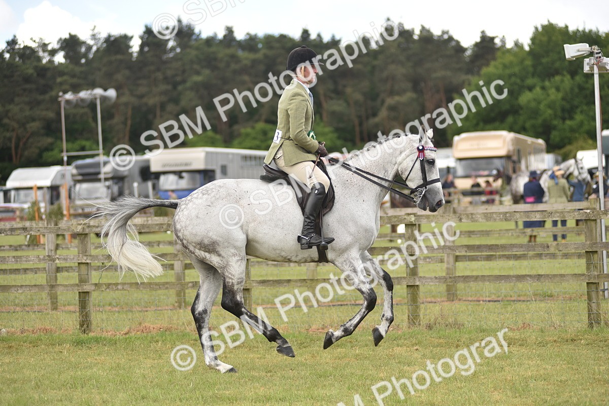 SBM_15148 - Class 113-114 - Retraining of Racehorses Ridden