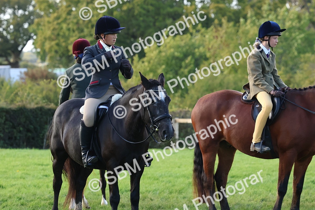 SBM_52561 - S13 - Pony Club Pony