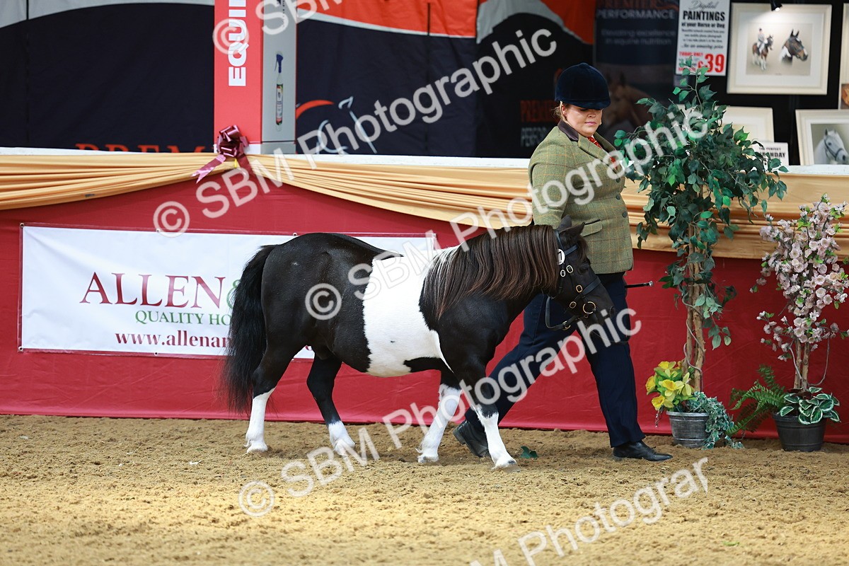 SBM_04166 - Class 9R - IH Pre-Vet
