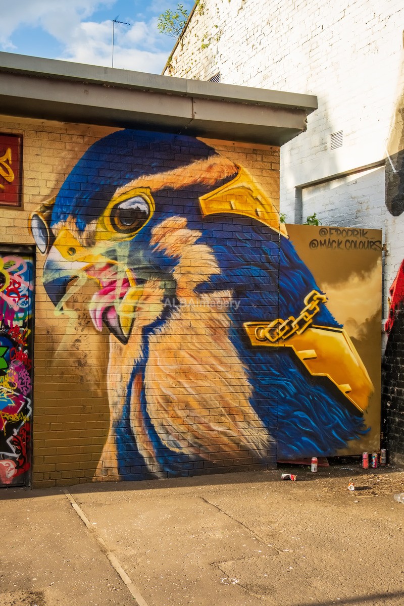 Glasgow Mural Trail - Mural Trail Images