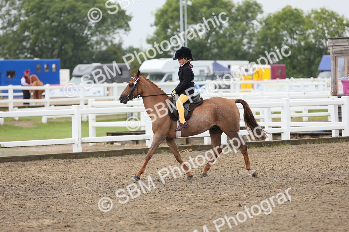 SBM_21795 - Class 806 - Young ridder 10 Yr & Under