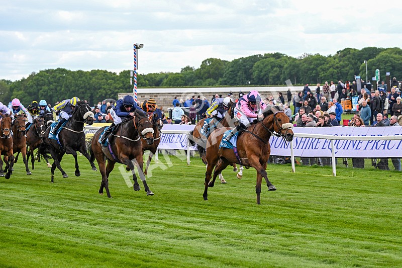 150526-Race 1-Zarathos-6901 - Race 1 1.45pm Yorkshire Equine Practice Handicap