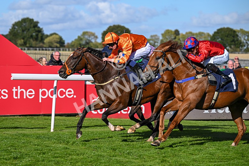 230925-Race 4-Elegant Erin-0688 - Race 4