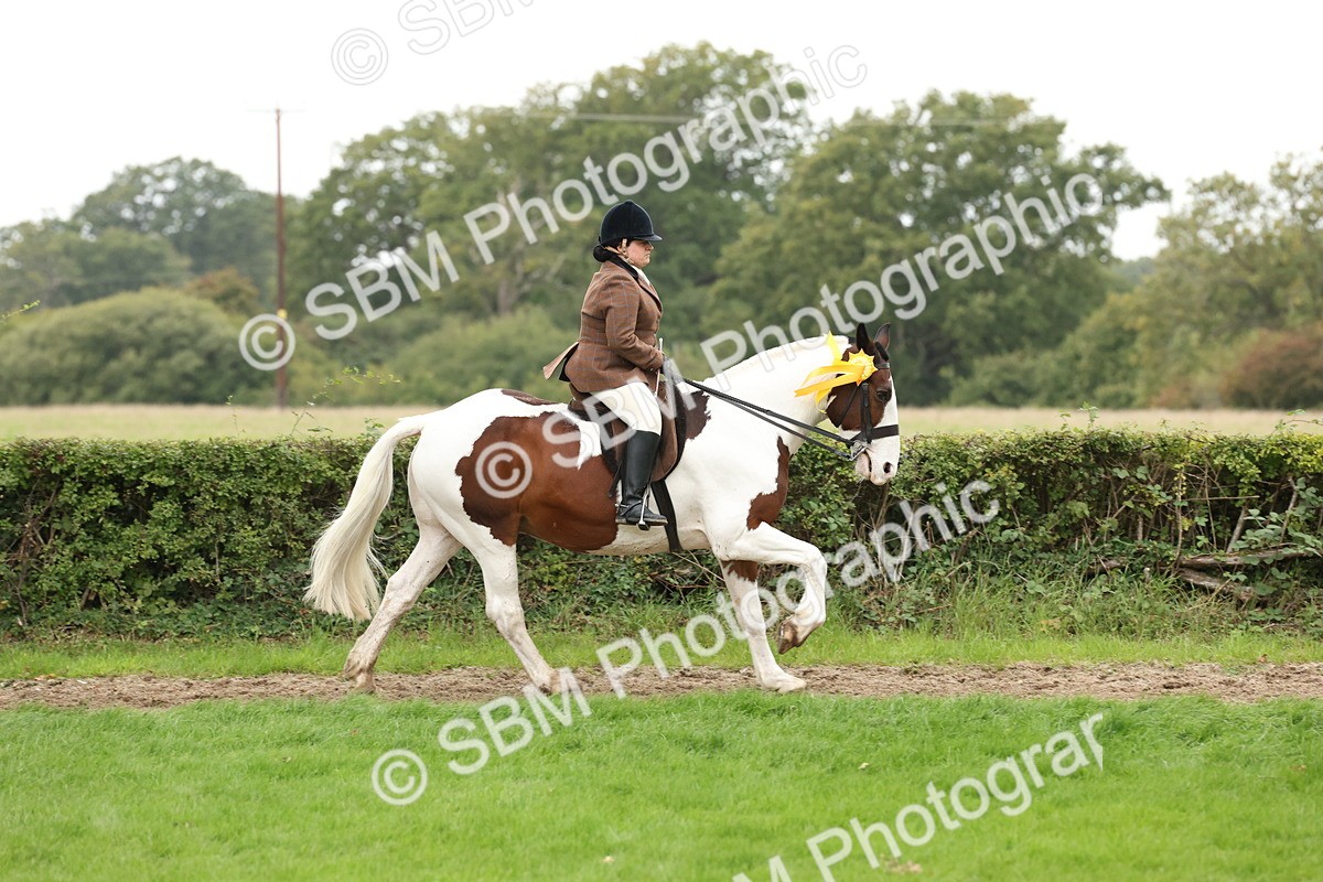 SBM_67340 - S67 - Piebald & Skewbald Horse Ridden