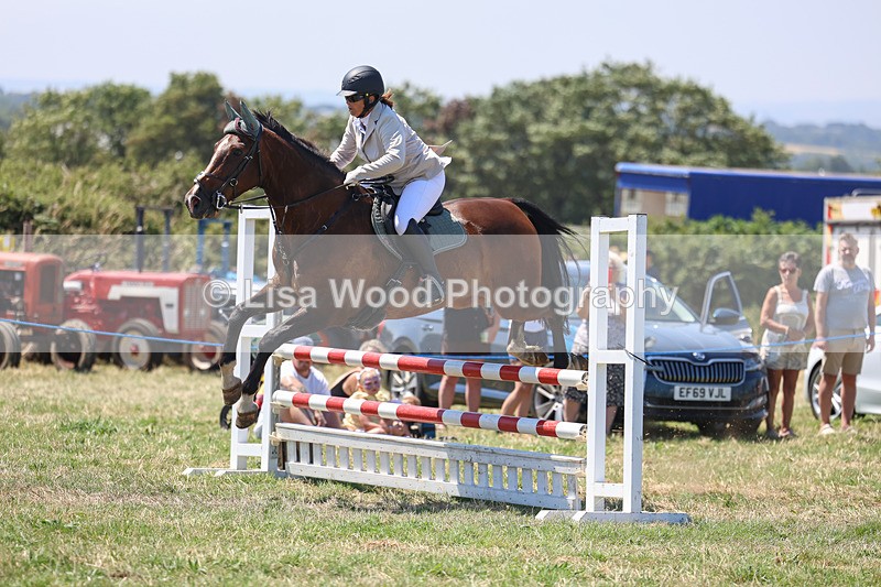 3E7A4350 - Class 10: Senior British Novice/90cm open