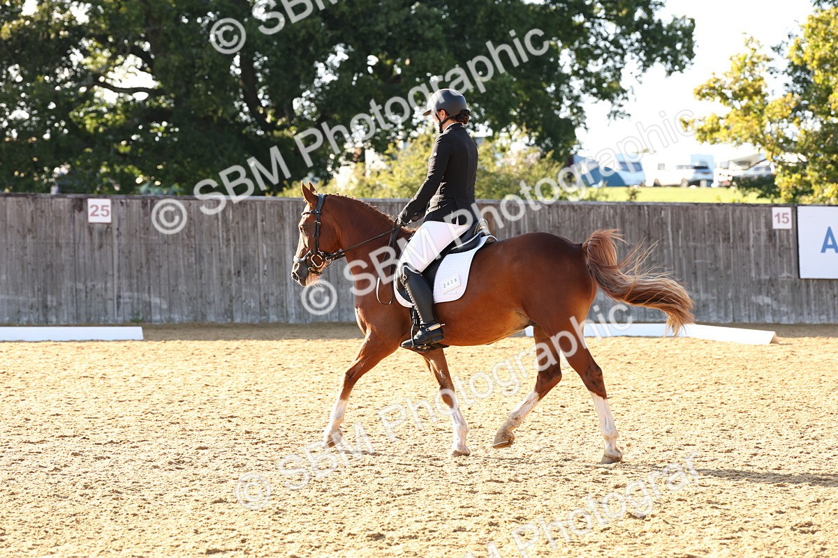 SBM_11674 - D9 - Small Tour Championship Prelim 3