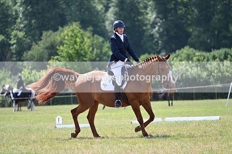 WJ7_3813 - Time 10:42 to 10:58