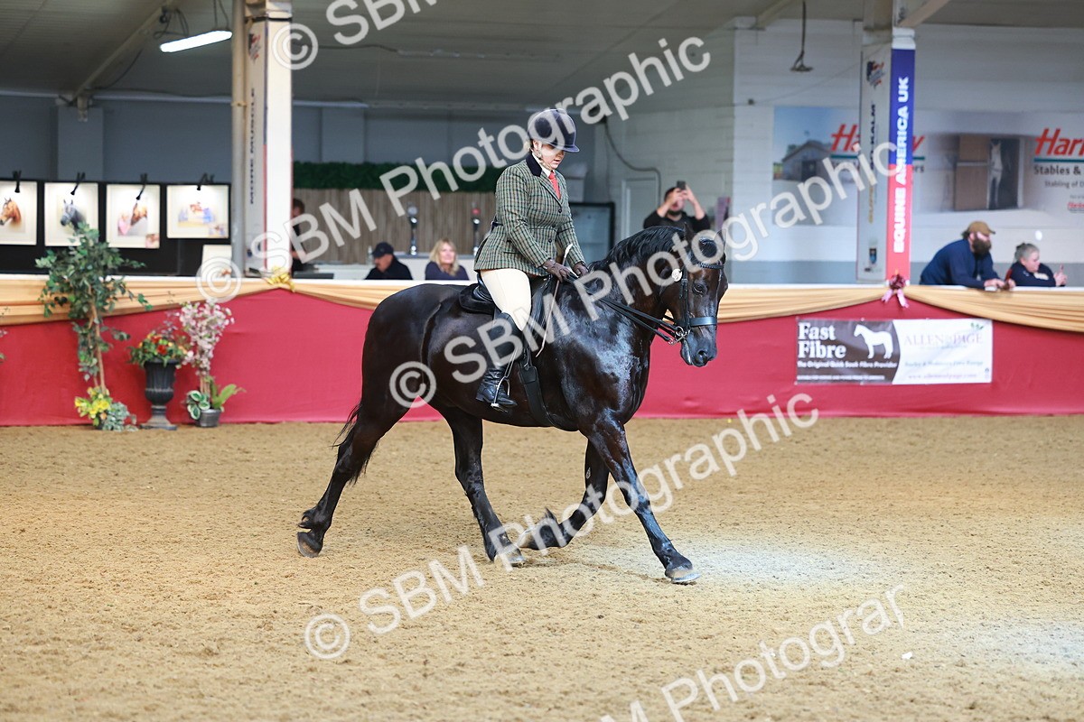 SBM_09729 - Class 102 - HOYS Veteran Qualifier - Ridden Veteran