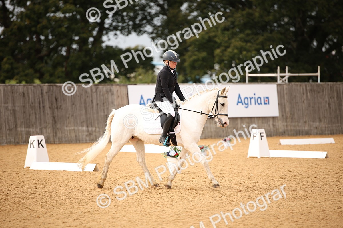 SBM_12307 - D3 Small  Tour Championship Intro A