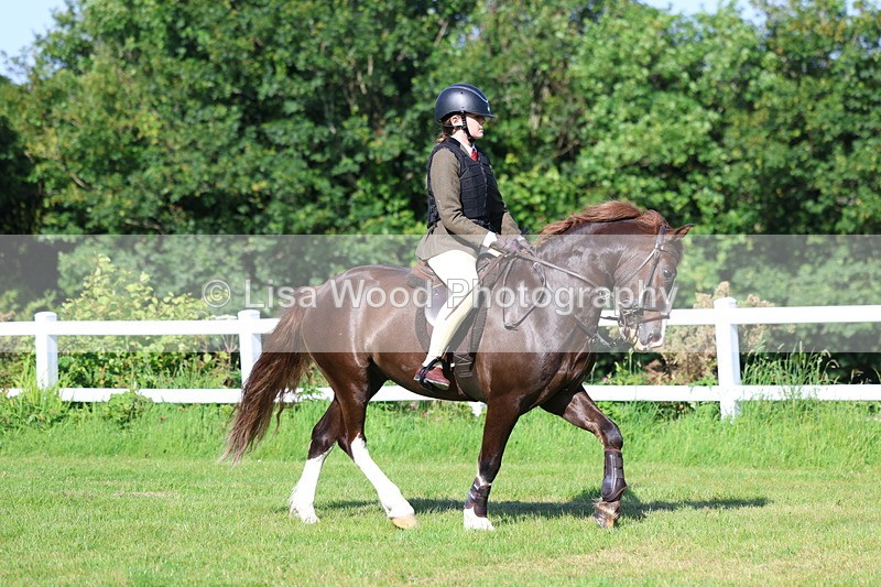 3E7A5951 - Class 27: Novice Working Hunter Pony