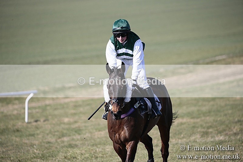 PtP 240218 103 - Vine & Craven Hunt Point-to-Point Barbury racecourse 24/02/18