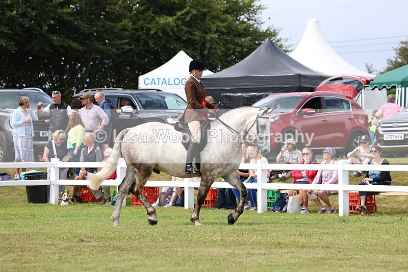 3E7A0451 - Rising Star Ridden Championship
