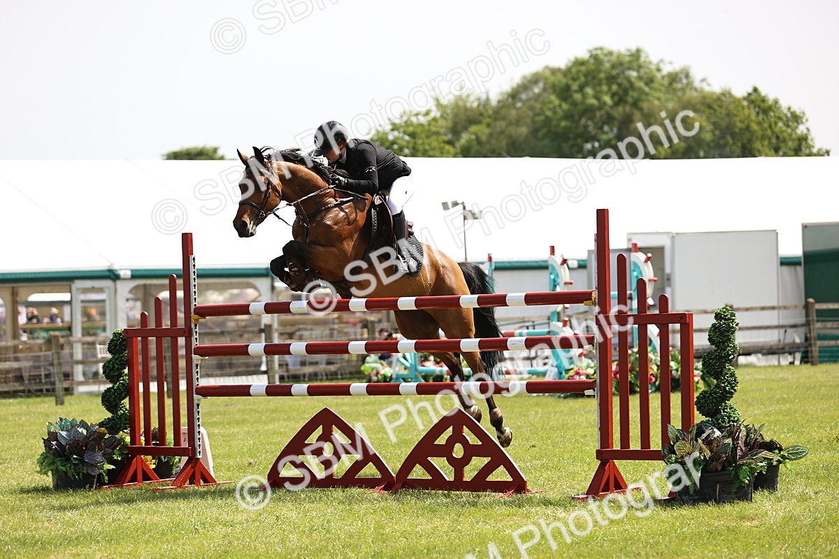 SBM_03987 - Class 201 - British Horse Feedds Speedi Beet HOYS Grade C