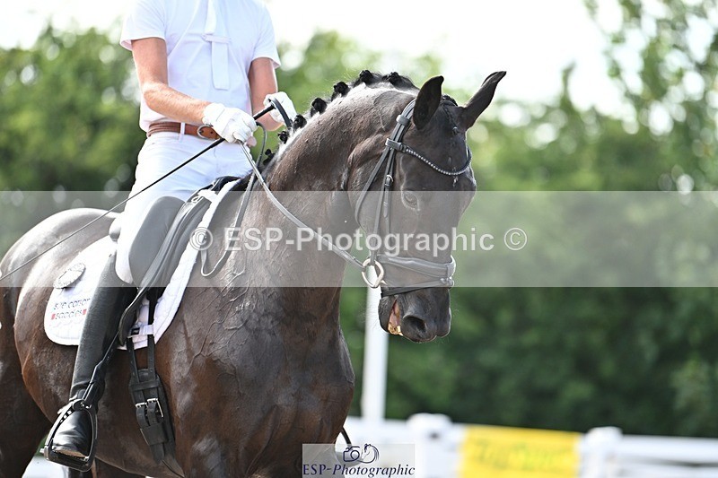 250620-171437-04930 - BD Cls 14 - Adv Medium 6