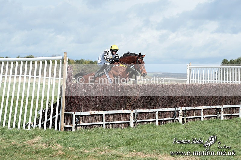 PtP 230324 287 - Tedworth Hunt PtP Larkhill Raccourse 23rd March 2024