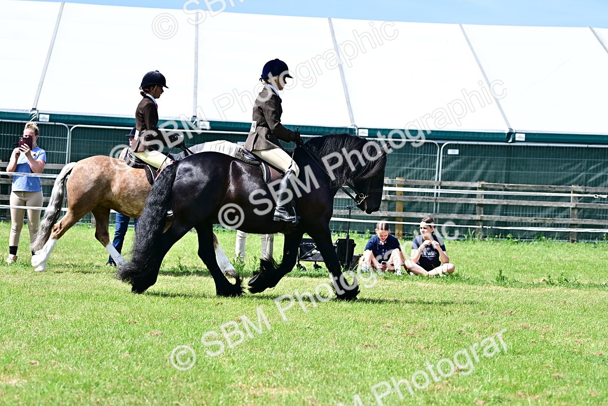 SBM_07882