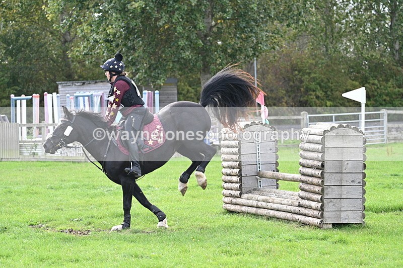 WJ7_8365 - 60cm Pairs