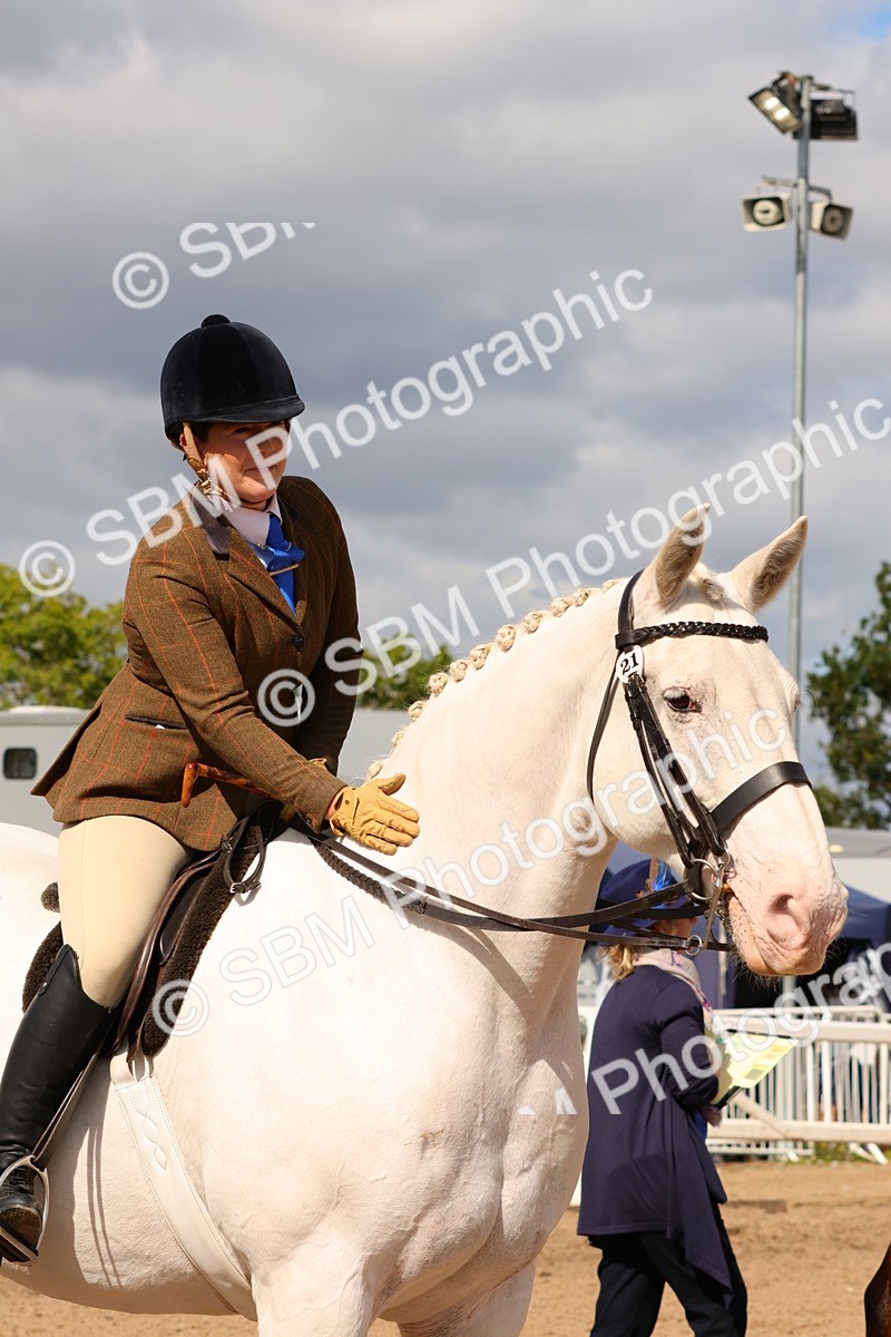 SBM_13552_Class 212 - Ridden Hunter - Large - Janet