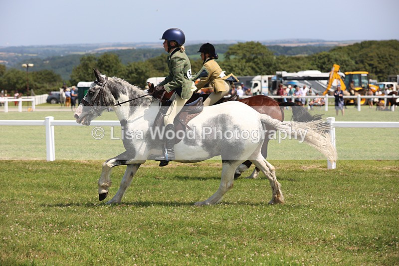 JPP_3297 - Class 22: Working Hunter 70cm