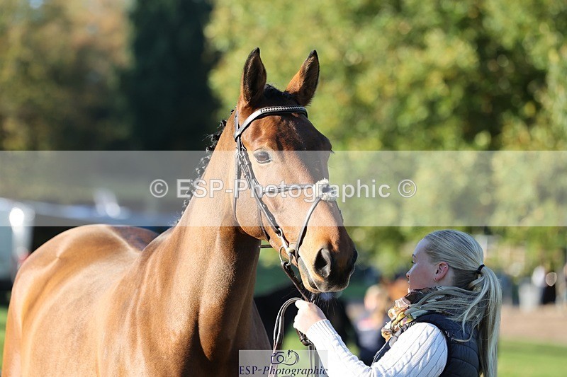 241027-085044-14846 - 359- Harriet Birkby- CBH CLOVER LINING