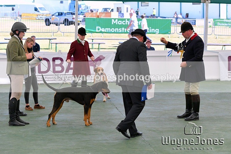 WJ5_0881 - Berks & Bucks at the Great Yorkshire Show 2025