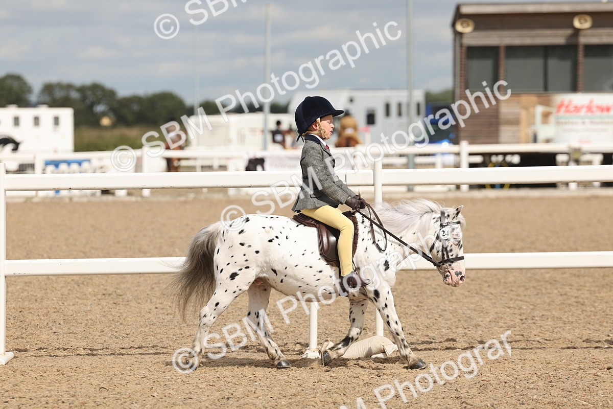 SBM_15864 - Class 310 - First Ridden Pony