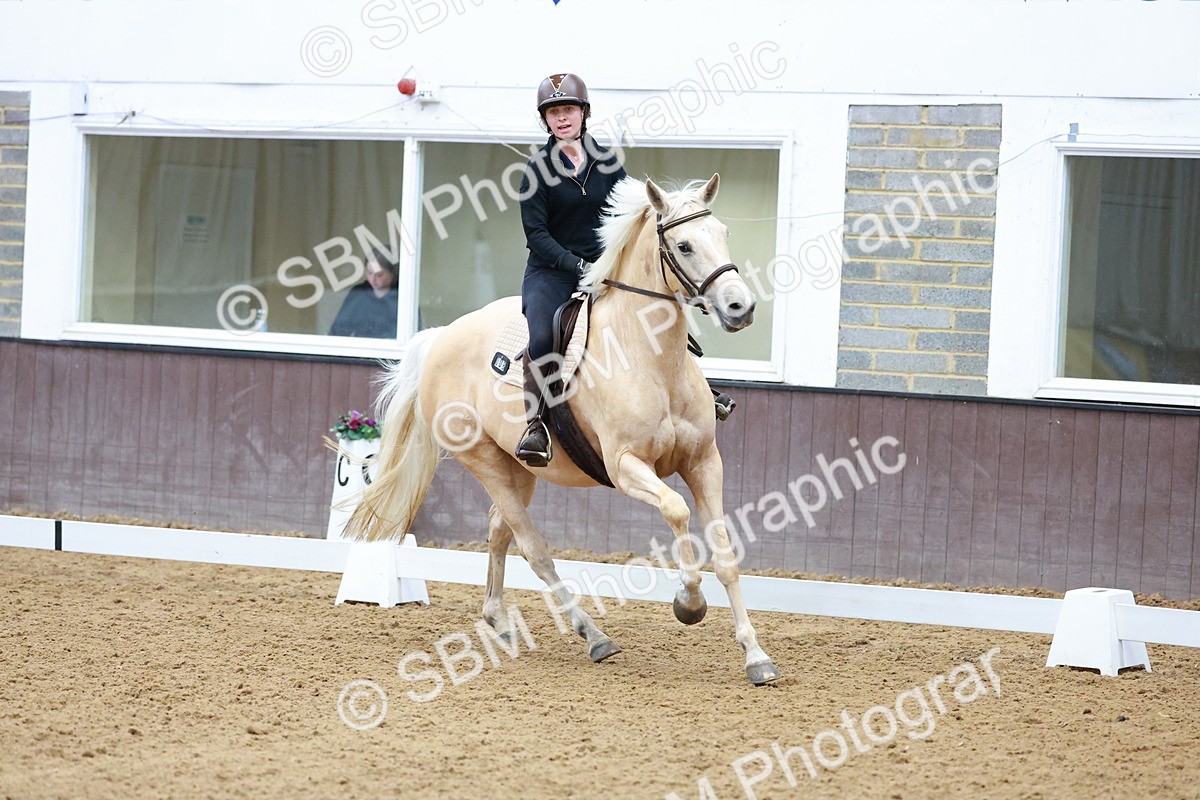 1I0A0639 - Class 3-6 - Prelim 1-Novice 2