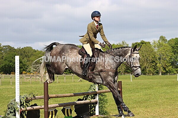 IMG_4862 - Working Hunter