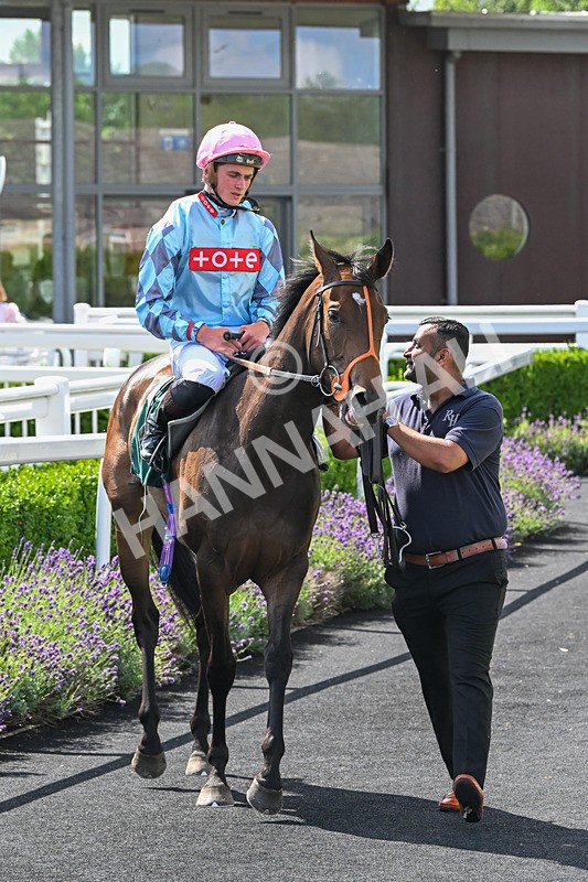 160725-Race 2-Shetakesthegold-8883 - Race 2