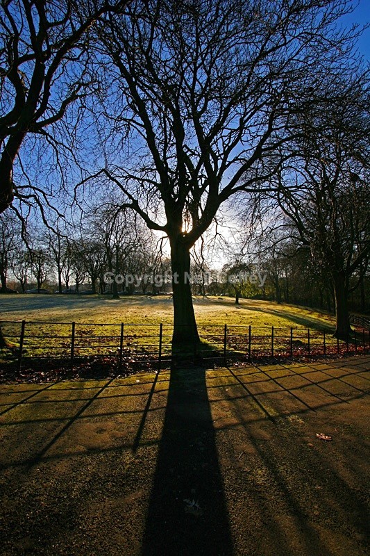 Kelvingrove Park, Glasgow - Cities & Towns