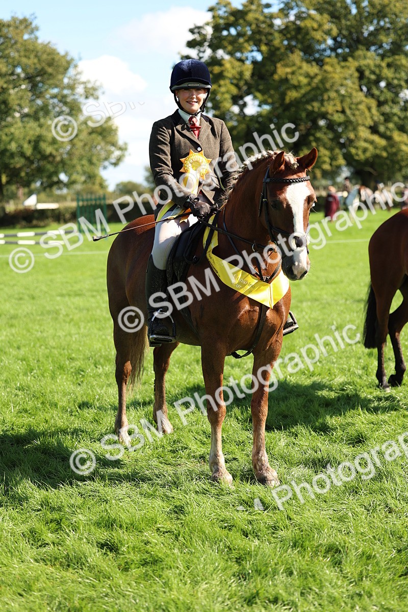 SBM_45452 - S33 - Working Hunter Pony