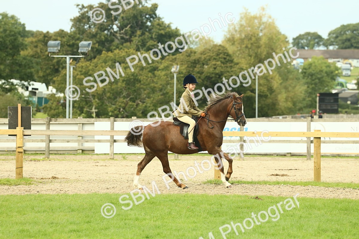 SBM_69886 - S59 - Mountain & Moorland Ridden Small Breeds
